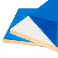 Сэндвич панель ППУ 25х1250х2500 мм полиэстр RAL9002/цинк