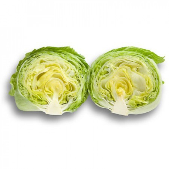 Кампионас рз семена салата айсберг – фото 4