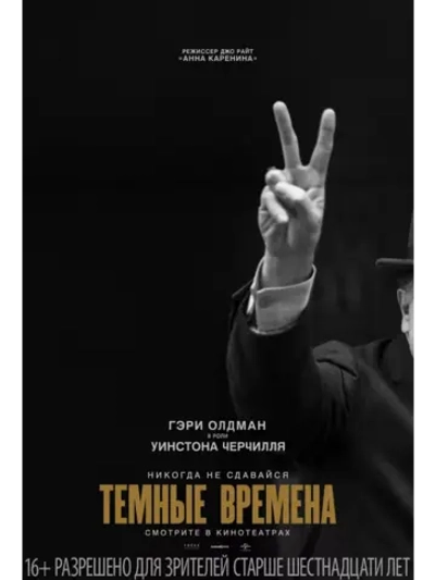 Тёмные времена (2017) (DVD-R)