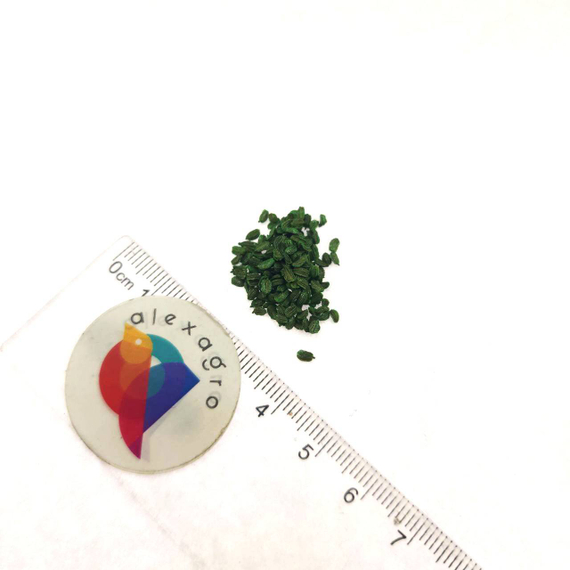 Кордоба F1 семена моркови курода/шантане (Bejo / ALEXAGRO) – фото 8