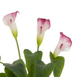 GAEM Цветок искусственный "Калла", L22 W14 H43 см