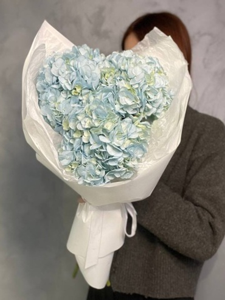 Букет 3 гортензии Blue в оформление.