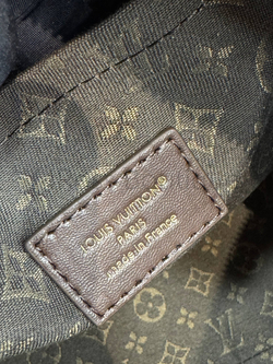 Сумка Louis Vuitton Express MM