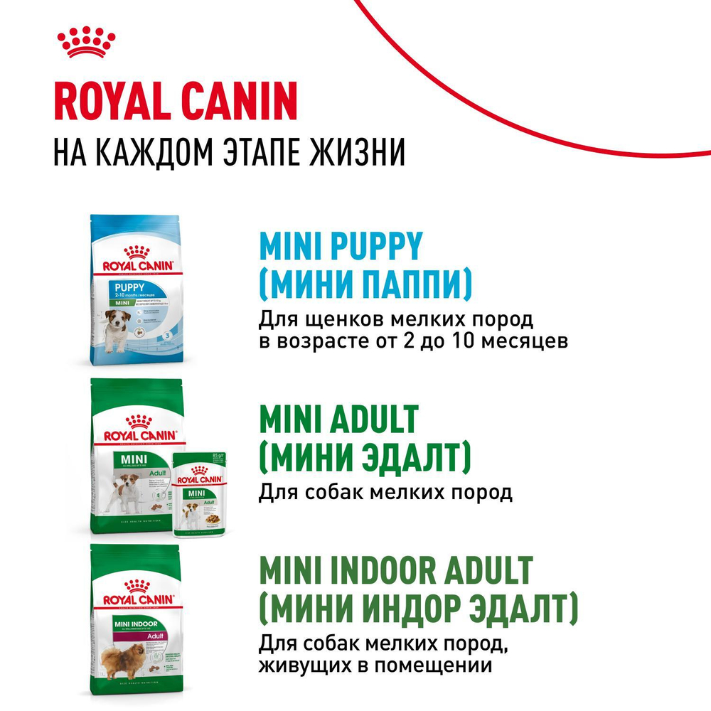 Royal Canin Mini Starter Корм сухой для собак мелких пород в конце беременности в период лактации для щенков в период отъема до 2-х месяцев 3 кг
