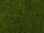 Луговая листва среддне-зеленая, 20 x 23 см