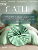 Постельное белье Евро Люкс 200х220 Зелёное