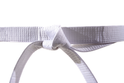 Пояс для тхэквондо ProfSport без вышивки (4 см) белый