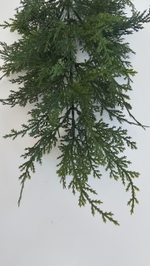 Ветка туи / Арт 5135