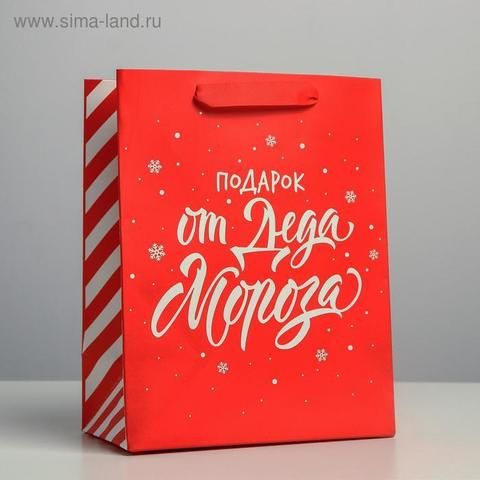 Пакет ламинированный вертикальный «Подарок от Деда Мороза», MS 18 × 23 × 10 см