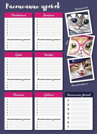Расписание уроков А3 "Коты" (Феникс+)