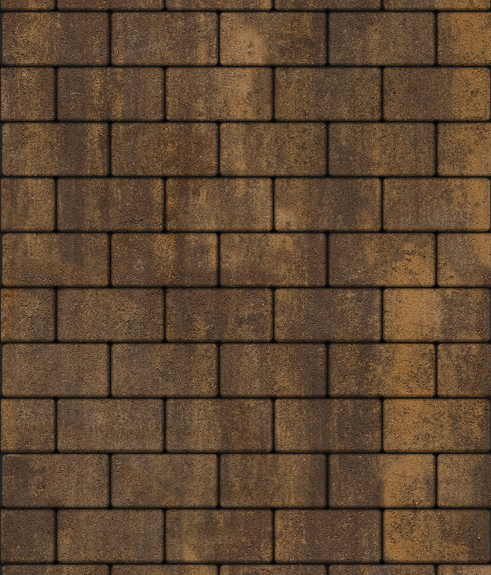 Тротуарная плитка ВЫБОР, форма Прямоугольник 100*200, h=80мм