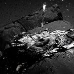 Фоторюкзак Tenba Fulton v2 16L All WR Backpack Black/Black Camo 637-738