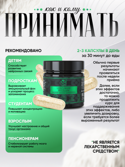 Ежовик гребенчатый, ежевик lions mane мицелий, капсулы 90 шт.