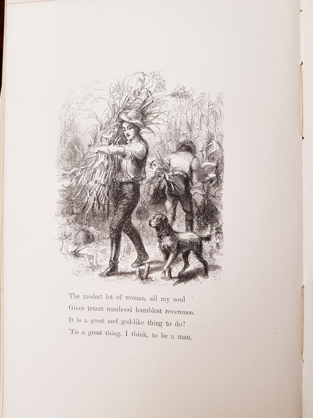 "Bitter Sweet. A Poem (Горько-Сладкий. Стихотворения)". Josiah Gilbert Holland (Джосайя Гилберт Холланд). 1867 г.