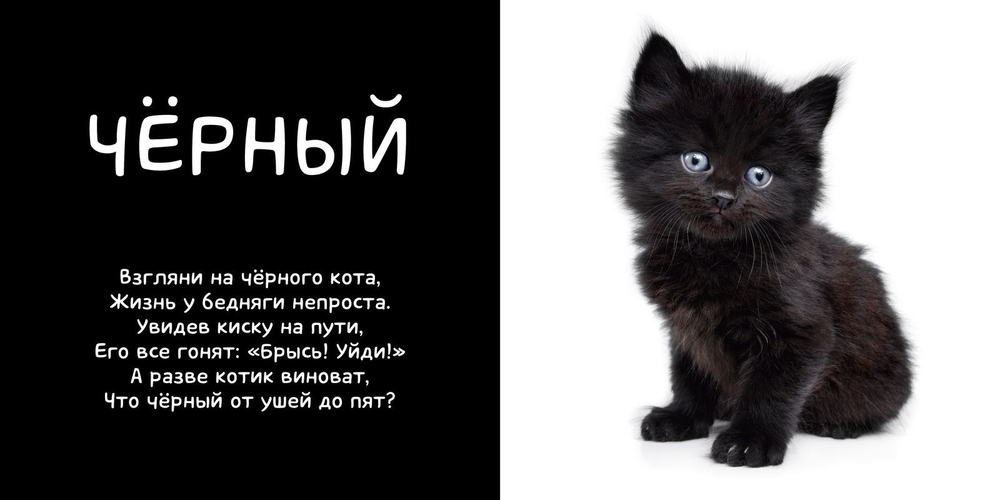 Мои первые слова. Фото-книга. Цвета МИНИ