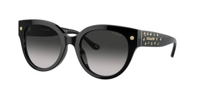 Солнцезащитные очки HC8393U Coach - черный(HC8393U)