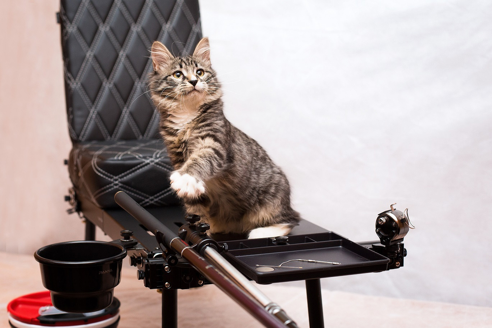 Рыболовный стул складной GENTLEMAN S (стул + эксклюзивный рюкзак для перевозки и хранения)