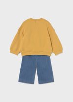 толстовка с брюками