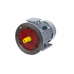 Электродвигатель ESQ PR 132 M6 GST-Б1-S12-IE2 7,6/1000 IM2081