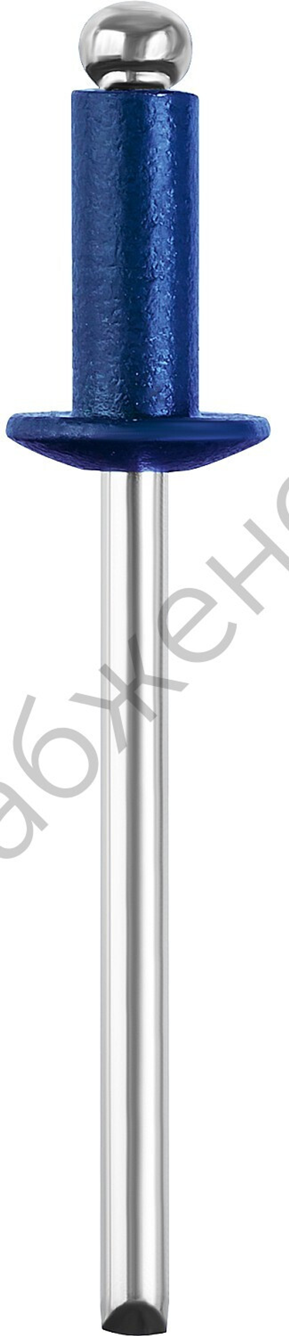 STAYER Color-FIX 3.2 х 8 мм, синий насыщенный, алюминиевые заклепки, 50 шт, Professional (3125-32-5005)