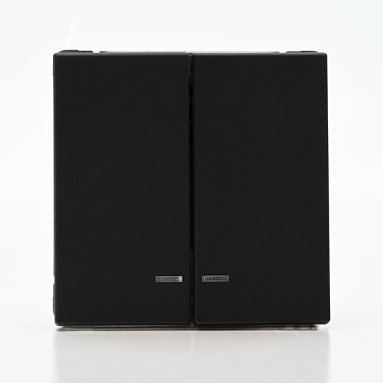 Выключатель 2-кл. ArtGallery (сх. 5а) 10AX с подсветкой механизм карбон SE GAL001053