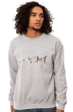 Свитшот Villany серый фото спереди