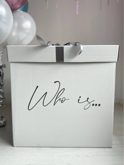 Большая коробка сюрприз на Гендер пати №5068