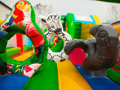 Коммерческий надувной батут «Попугайчики» 6*4*2,8 м