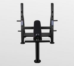 Скамья для жима наклонная Bronze Gym BR-1014