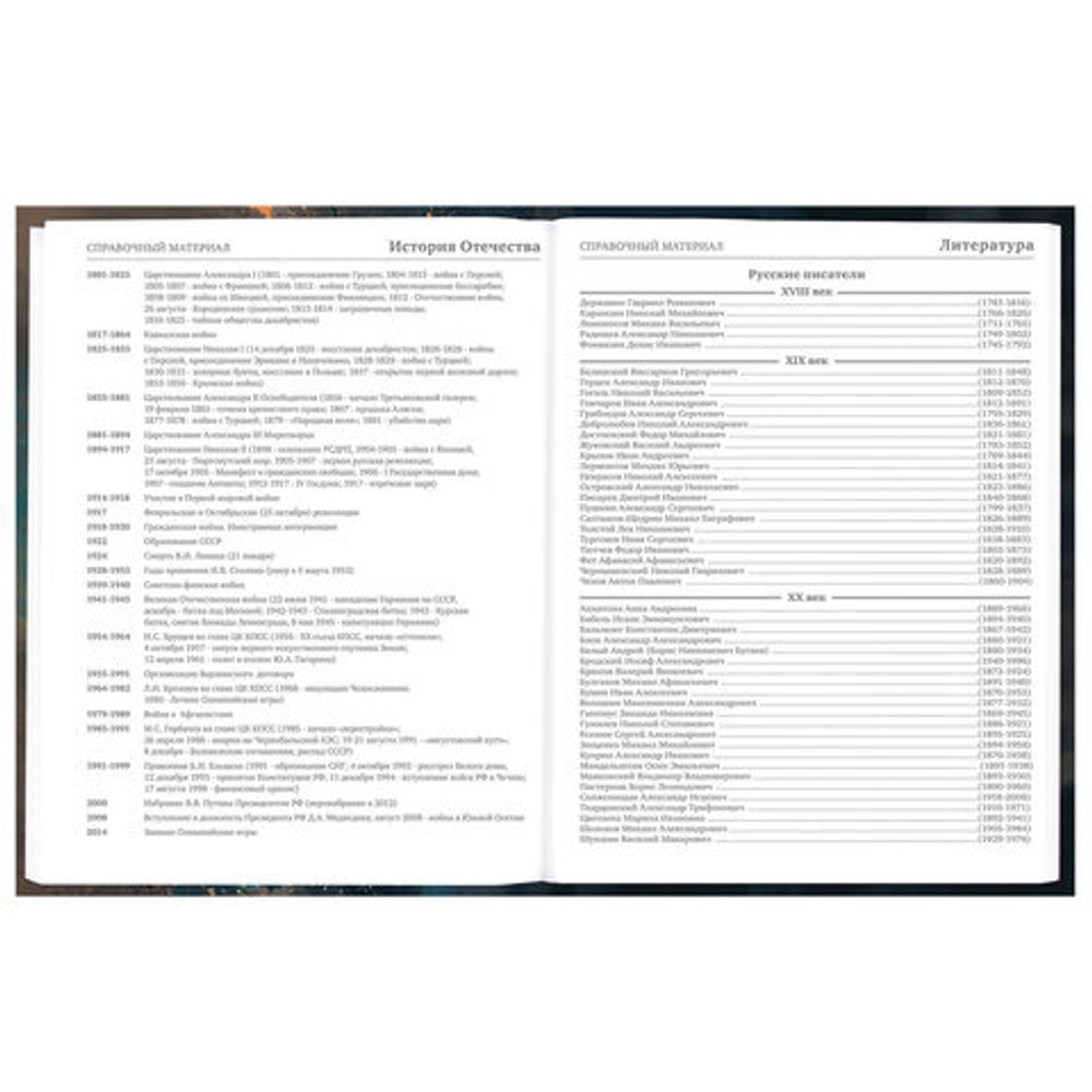 Дневник 5-11 класс 48 л., гибкая обложка, BRAUBERG, глянцевая ламинация, с подсказом, "Cat", 107181