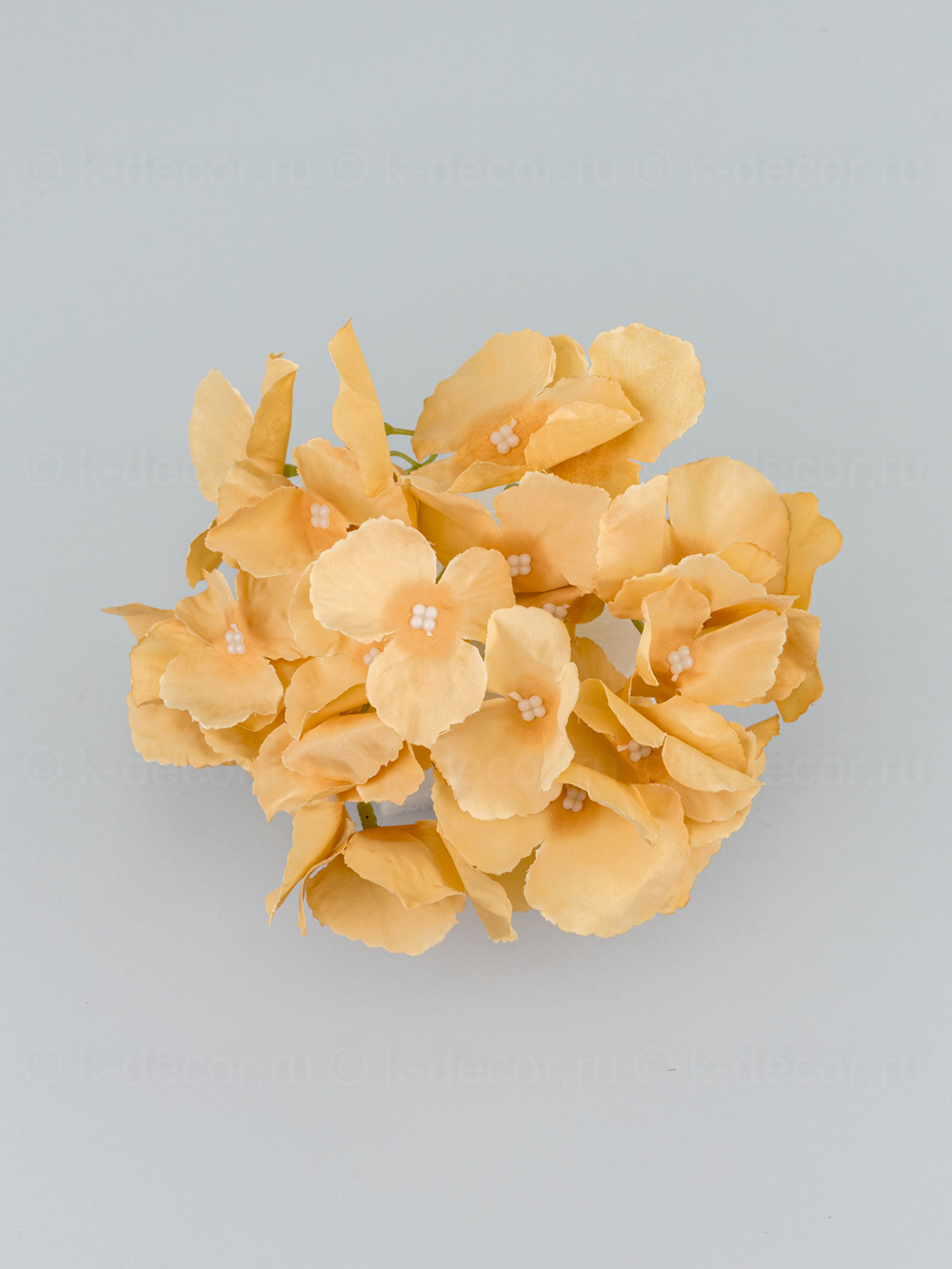 Гортензия Аннабель (голова)