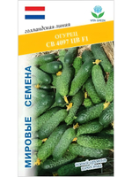 Семена огурцов СВ 4097 F1, 7 семян (Vita Green / Вита Грин)