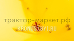 Разбрасыватель навесной, садовый (Лейка) Strumyk S-300S (300 л)