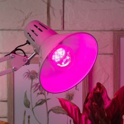 Фитолампа для растений светодиодная ЭРА FITO-10W-RB-E27-K красно-синего спектра 10 Вт Е27