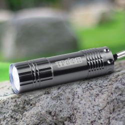 Светодиодный фонарь Трофи TM9-box12 ручной на батарейках промо-бокс 12шт алюминиевый | Универсальные  фонари