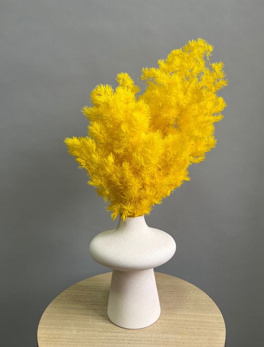 Стабилизированные цветы и зелень – купить в магазине | Сухоцветы ...