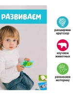 Развивающий набор Тактильные карточки