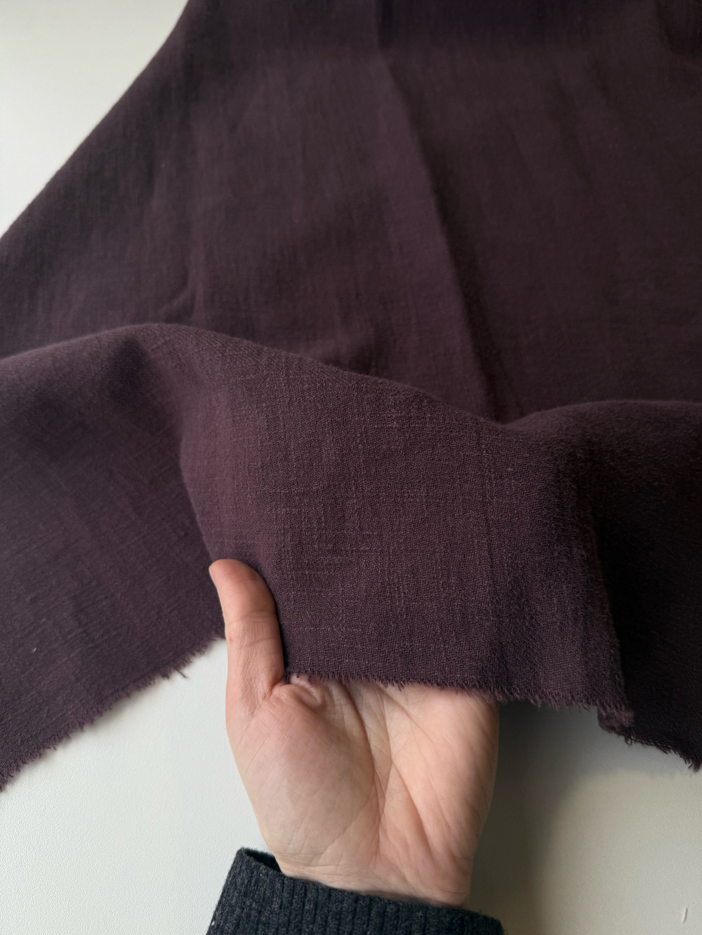 Крапива рами Бургунди