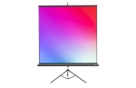 Экран на штативе Lumien 183x244 см (4:3) LMV-100108