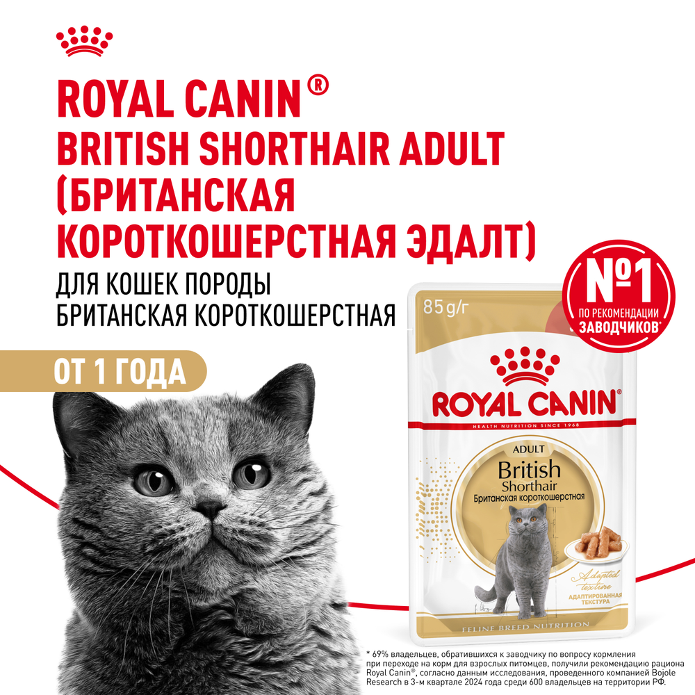 Royal Canin British Shorthair Adult (БРИТАНСКАЯ КОРОТКОШЕРСТНАЯ ЭДАЛТ) Корм консервированный для взрослых кошек соус 85г