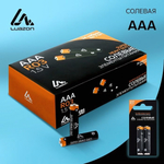 Батарейка солевая LuazON Super Heavy Duty, AAA, R03, блистер, 2 шт 3005541