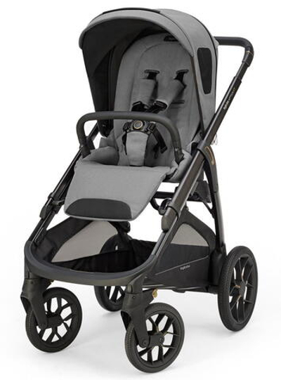 Прогулочная коляска Inglesina Aptica XT 2025 Canyon Grey