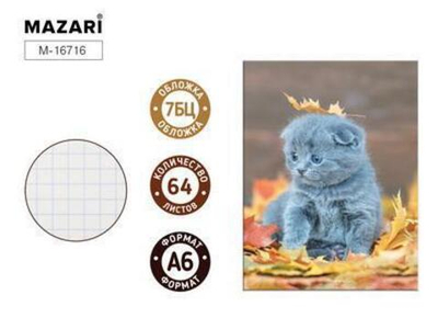 Бизнес-блокнот А6 64л. клетка "Милый котенок" блок офсет,тв. обложка. M-16716 (Mazari)