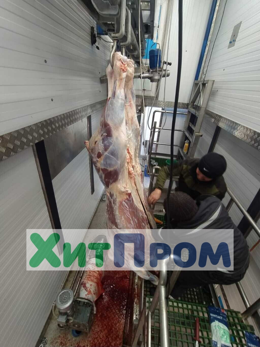 Передвижная линия убоя КРС до 10 голов/смена и МРС до 100 голов/смена. р.Тыва