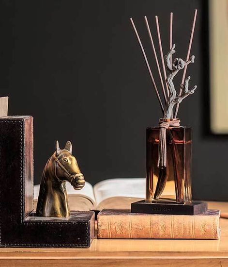 Golden Amber, ароматический диффузор с необычными палочками, Chando