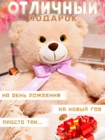 Мягкая игрушка мишка плюшевый 23 см