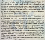 Ипомея Млечный Путь 0,5 г СМЦ-513