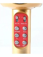 Караоке микрофон Wster WS-1816 золотой
