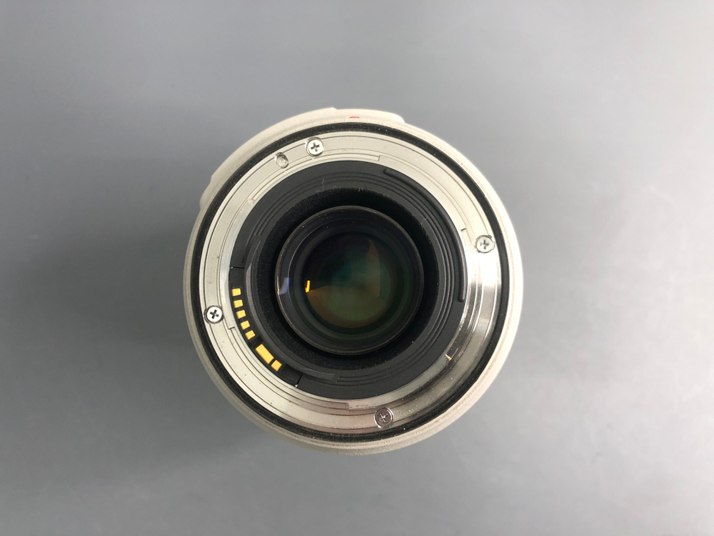 Canon EF 70-300mm 4-5.6L IS USM