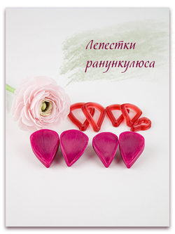Лепестки ранункулюса